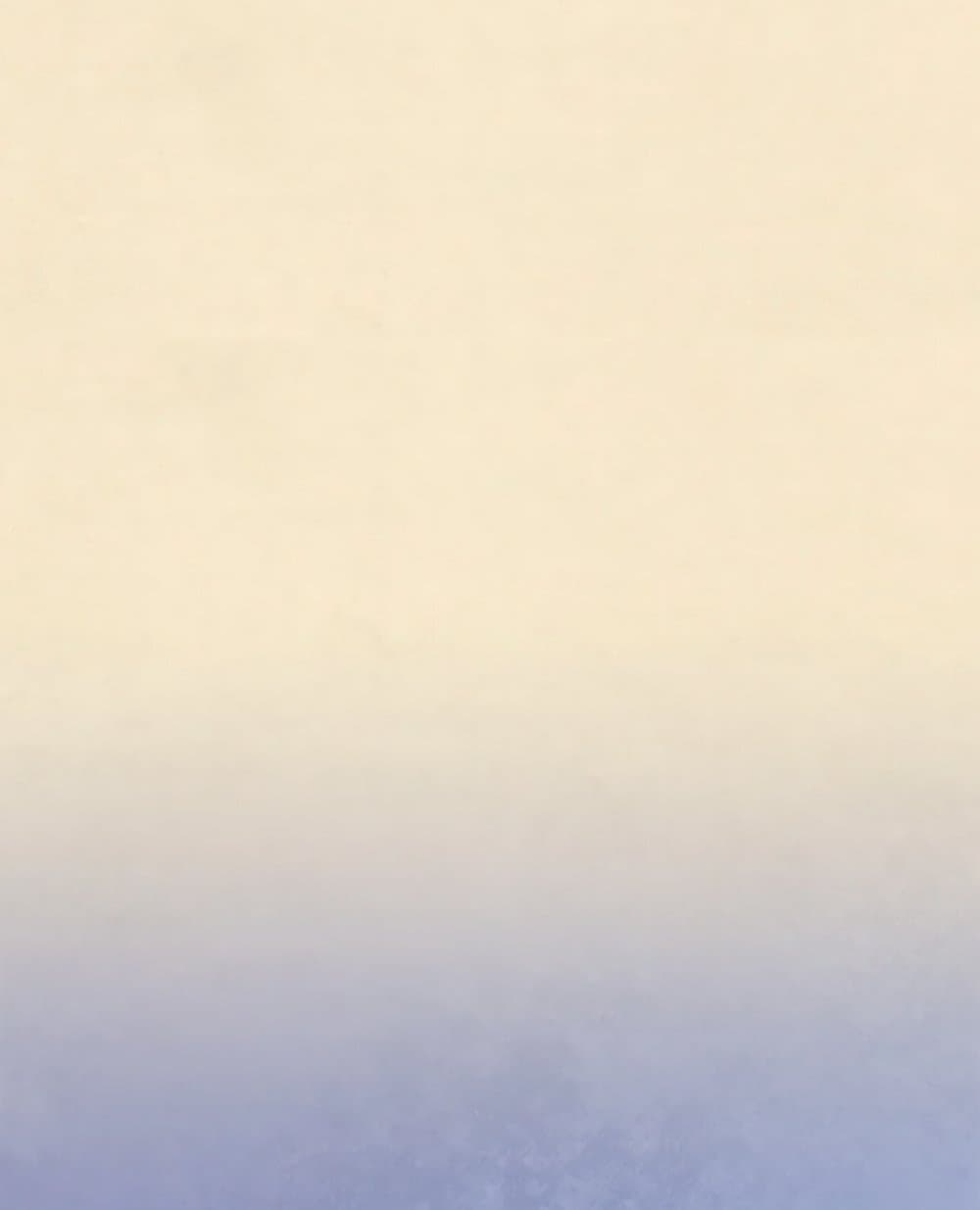 0065