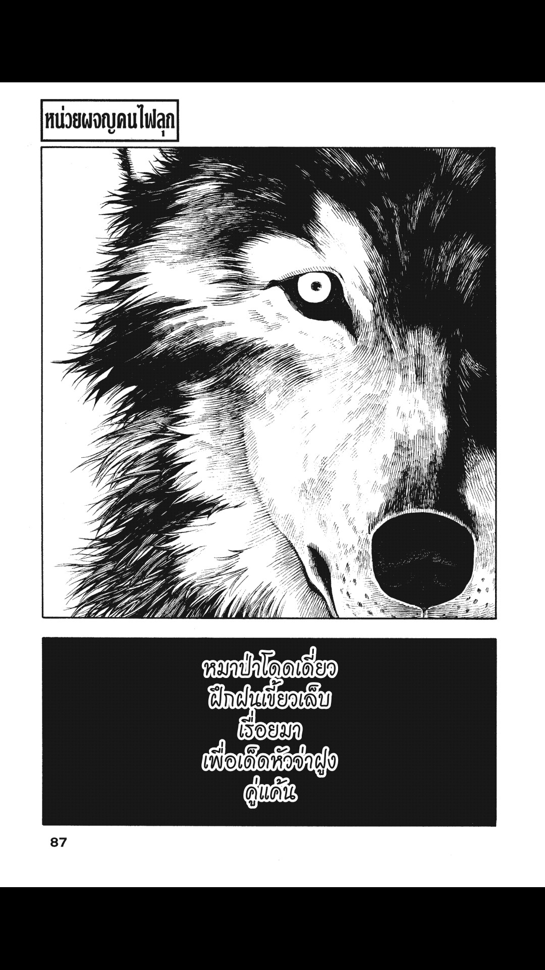 manga168