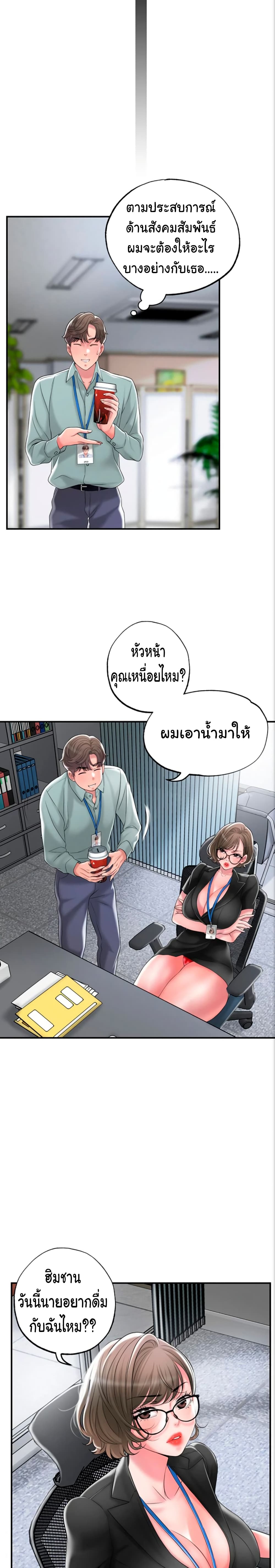 New Town 26 16
