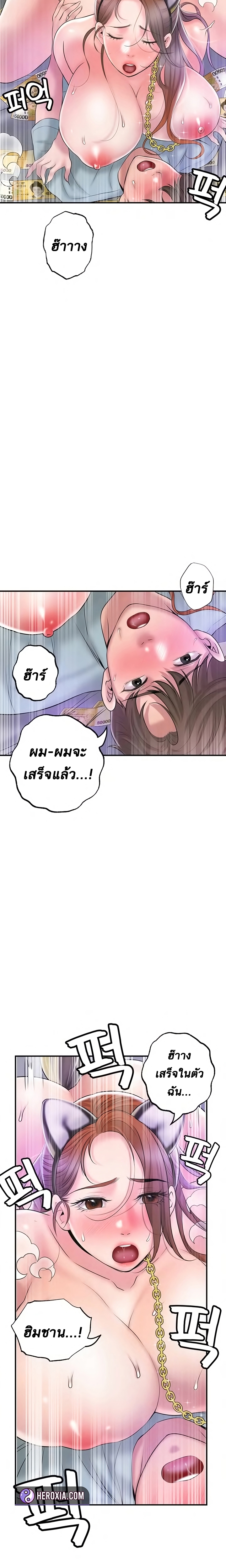 New Town 61 15
