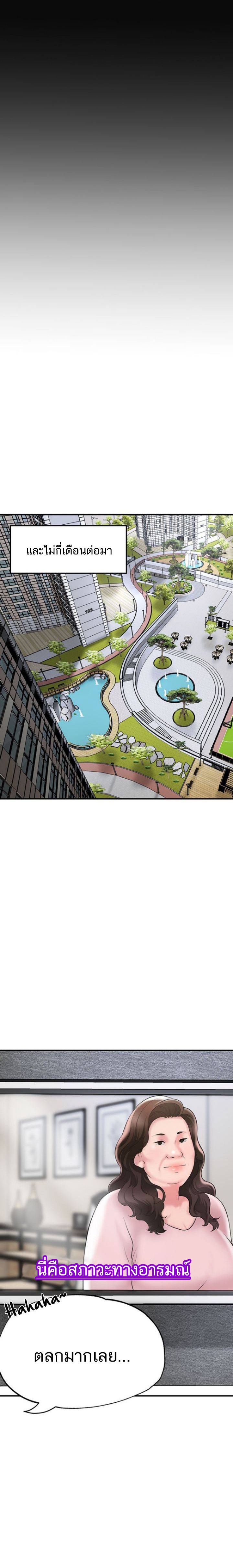 New Town 62 28