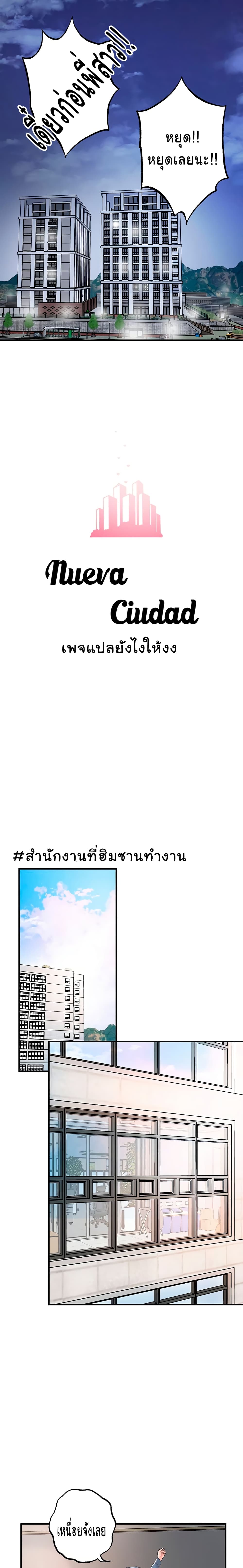 New Town 42 16
