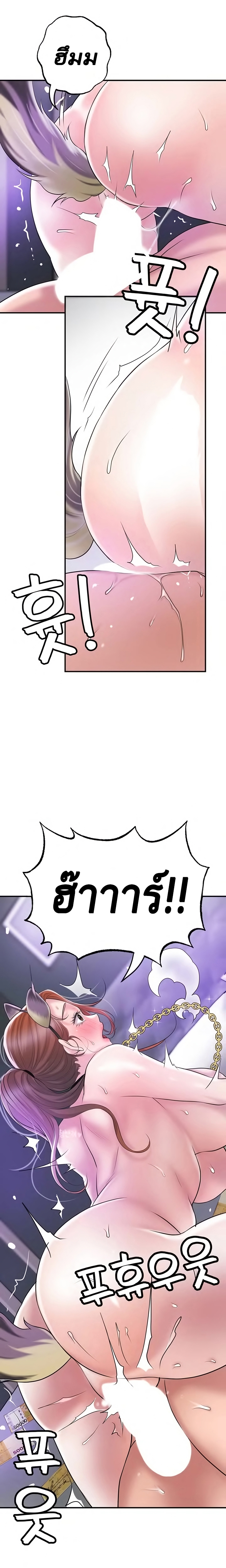 New Town 61 16