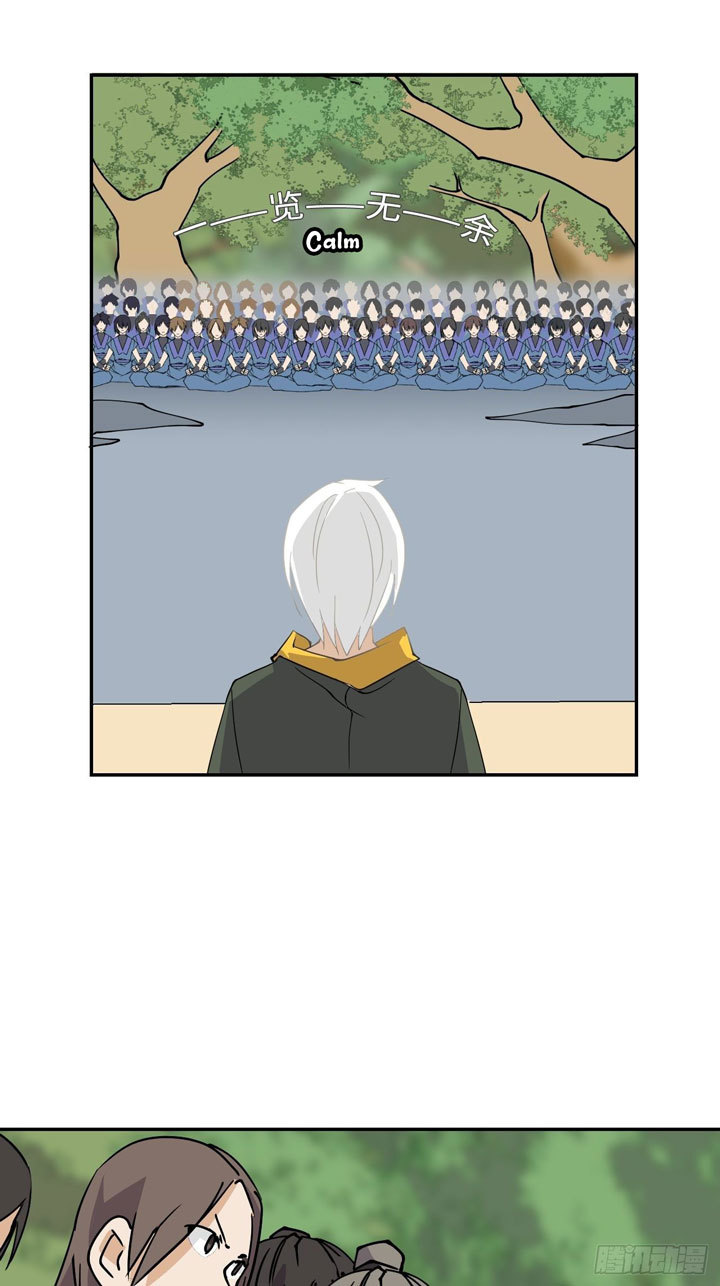 8 (16)