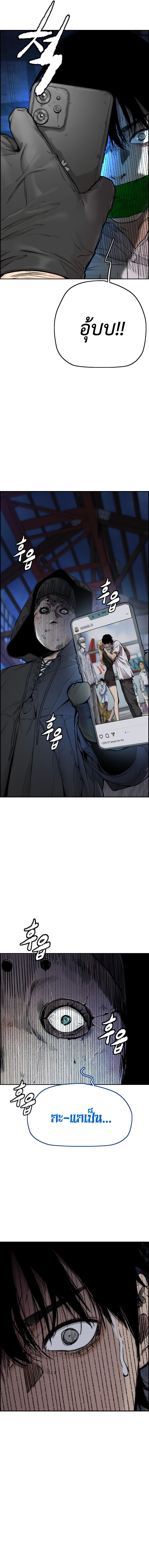 26 (2)