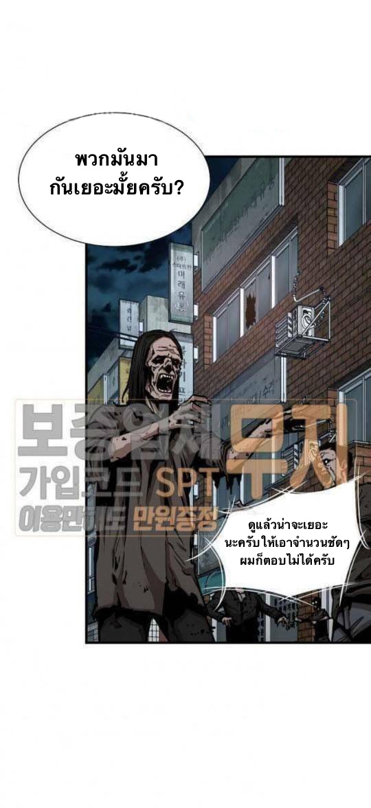 Return Survival43 (43)
