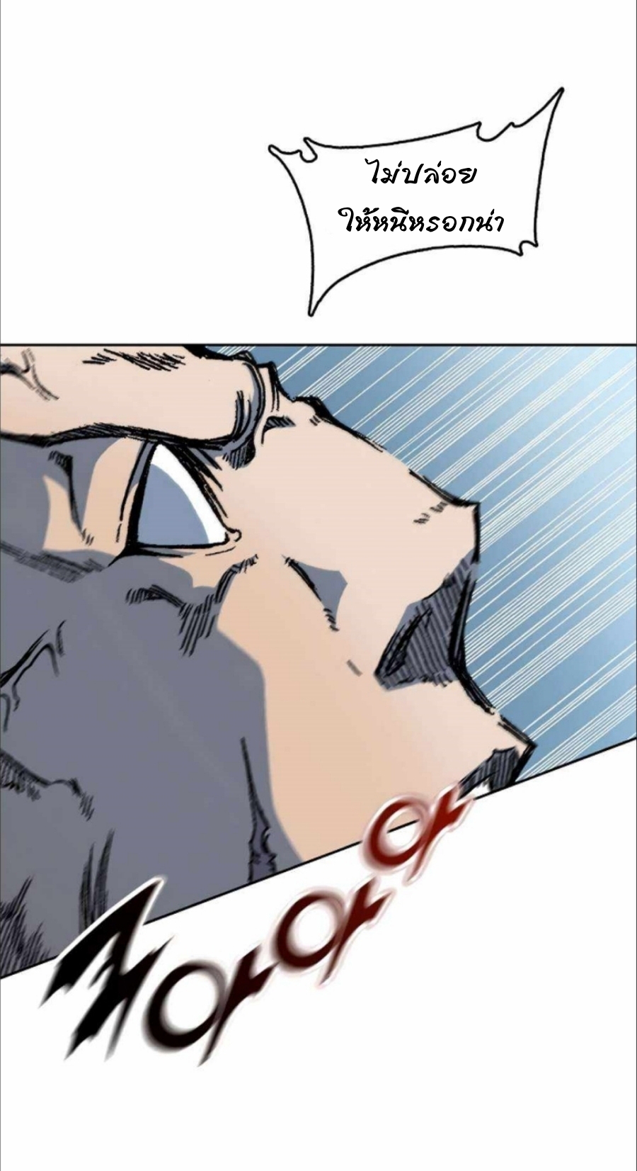 86 55