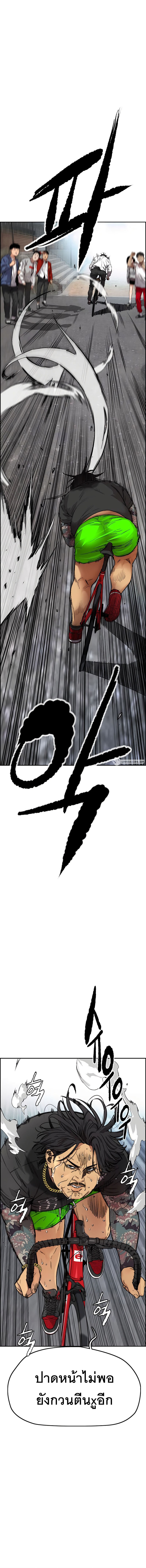 31 (24)