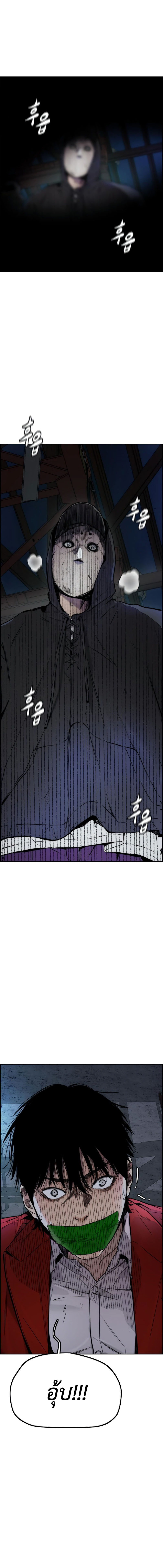 26 (1)