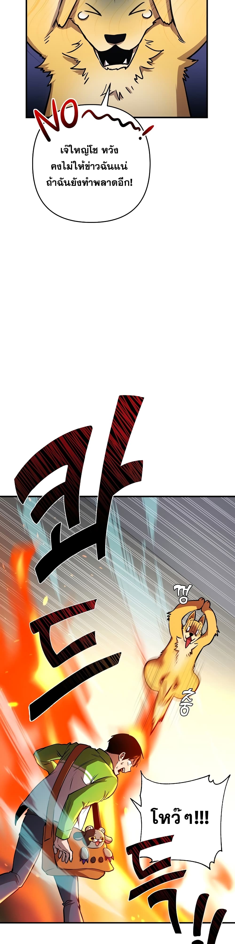 5 26