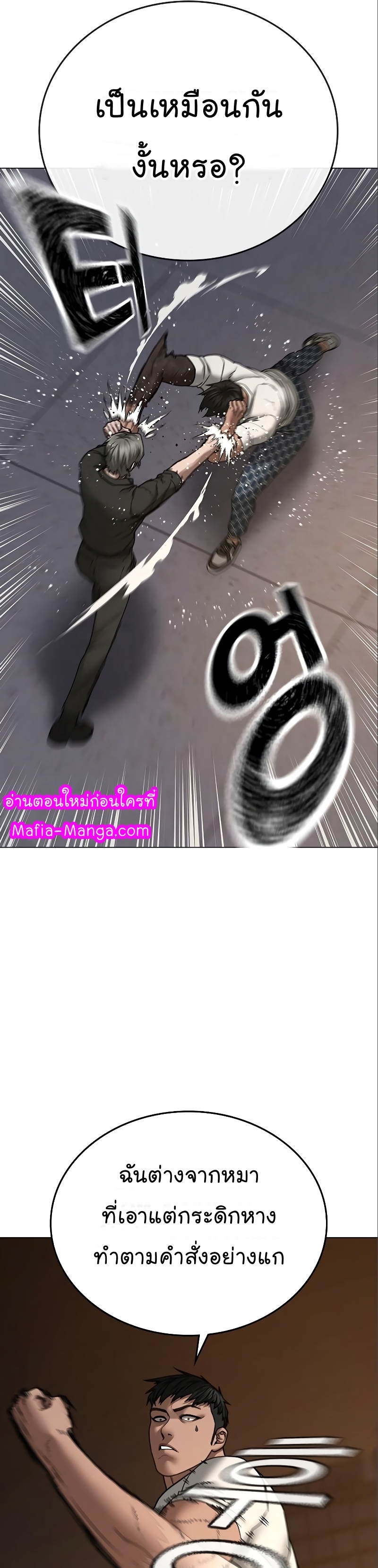 49 26