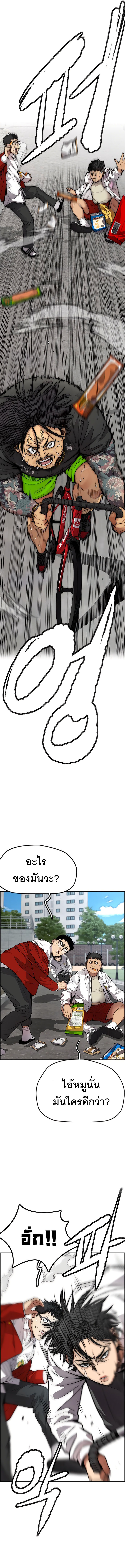 31 (22)
