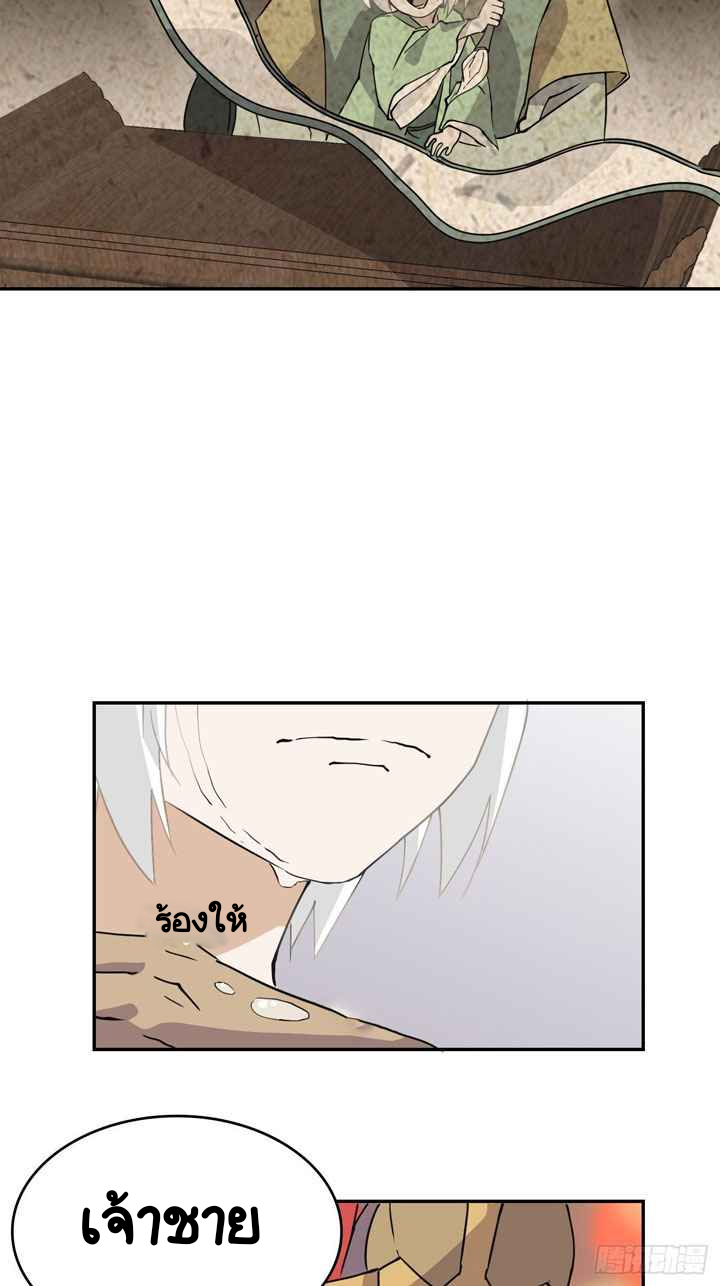 3 (30)