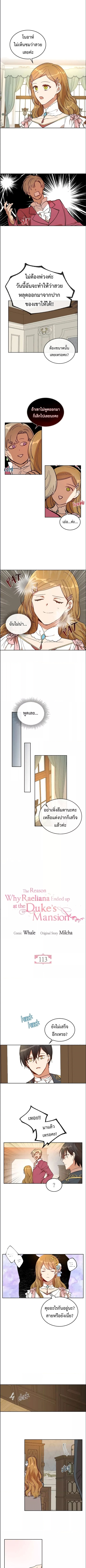 The Reason113 (1)