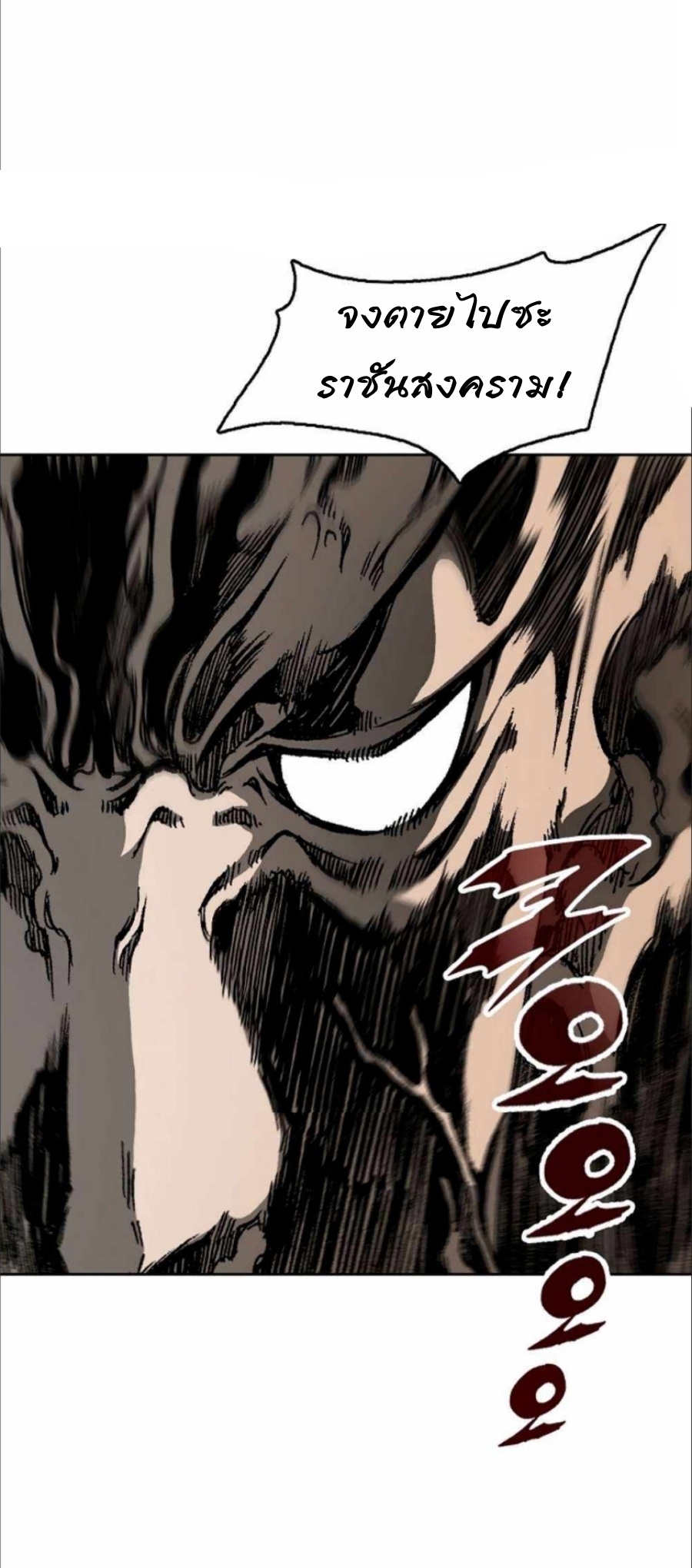 86 48
