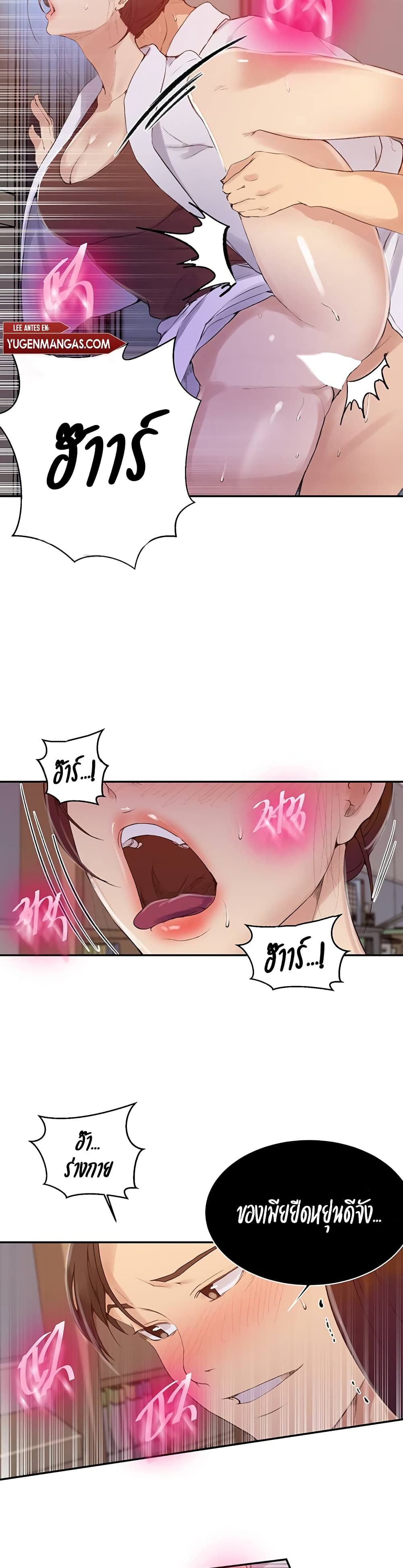 141 16