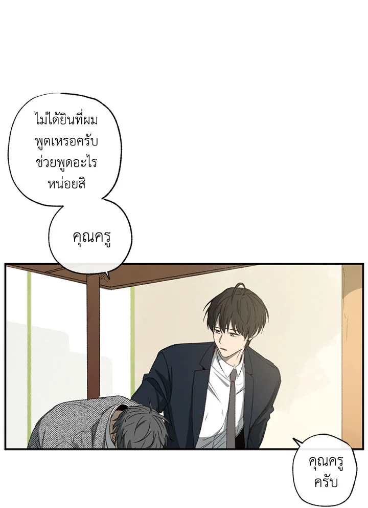 The Shape of Sympathy 1 071