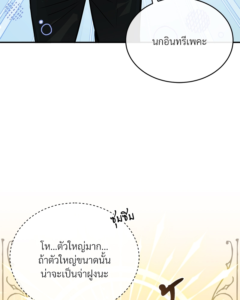 Shadowless Night 18 068