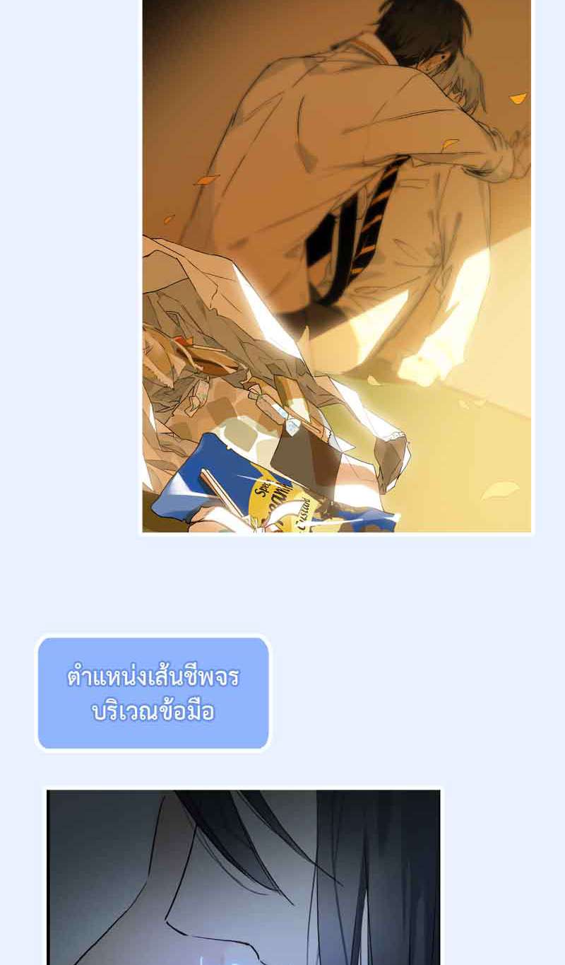 กฎรักแห่งออกัส64 37