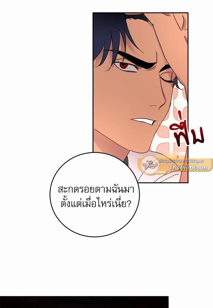 เสือขย้ำจันทร์ 14 16