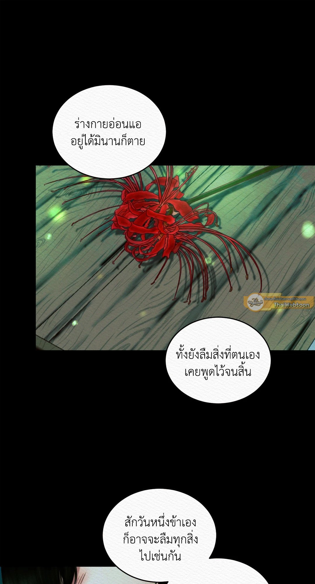 Night Song 34.1 11