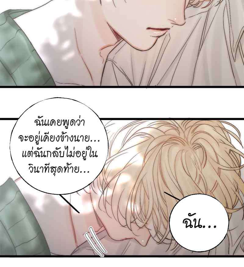 แสงสุดท้าย48 13
