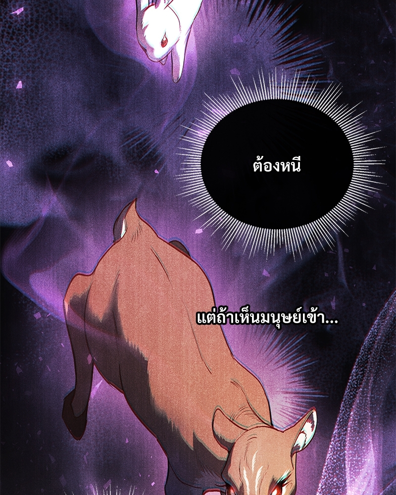 Shadowless Night 18 017