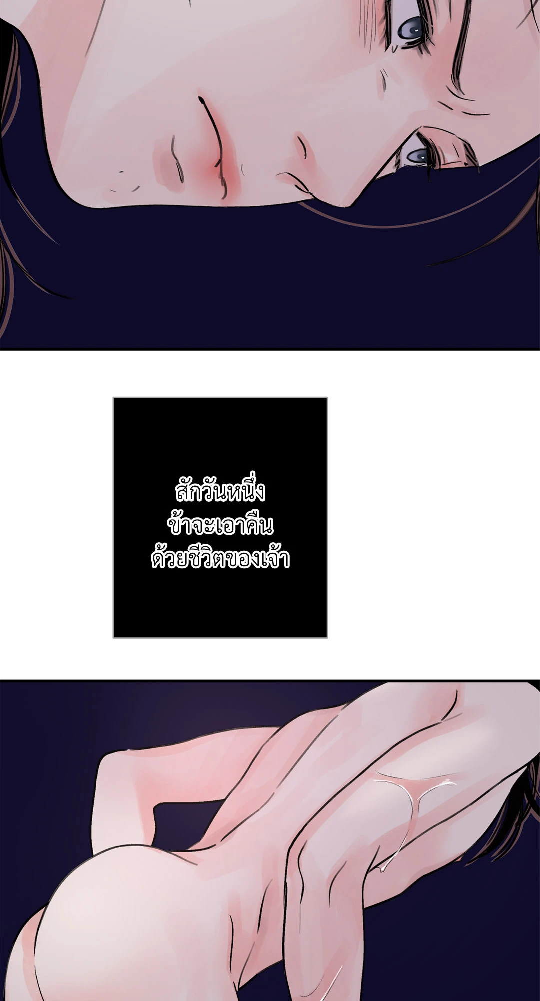 บุปผาซ่อนดาบ 21 42