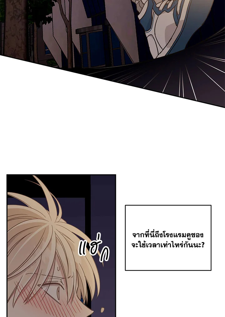 Shuffle 23 26