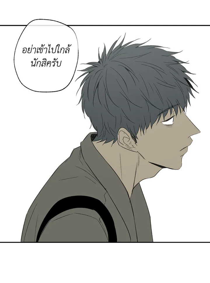 The Shape of Sympathy 41 28