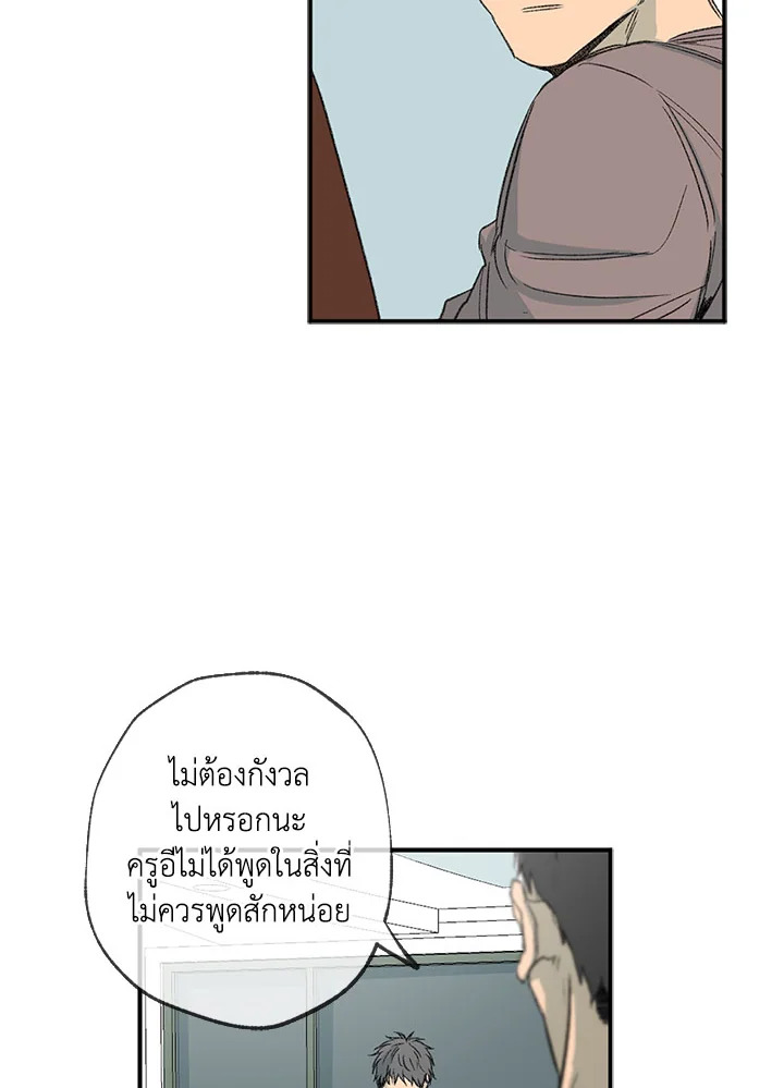 The Shape of Sympathy 51 25