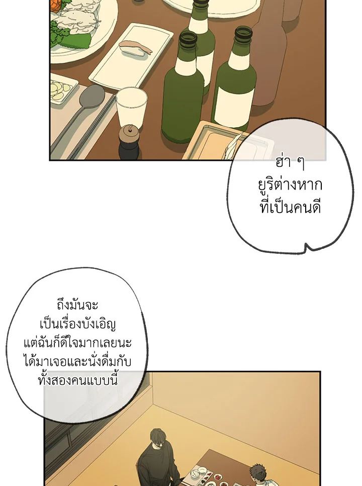 The Shape of Sympathy 44 26