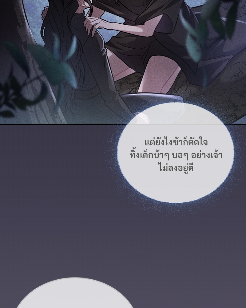 Shadowless Night 18 076