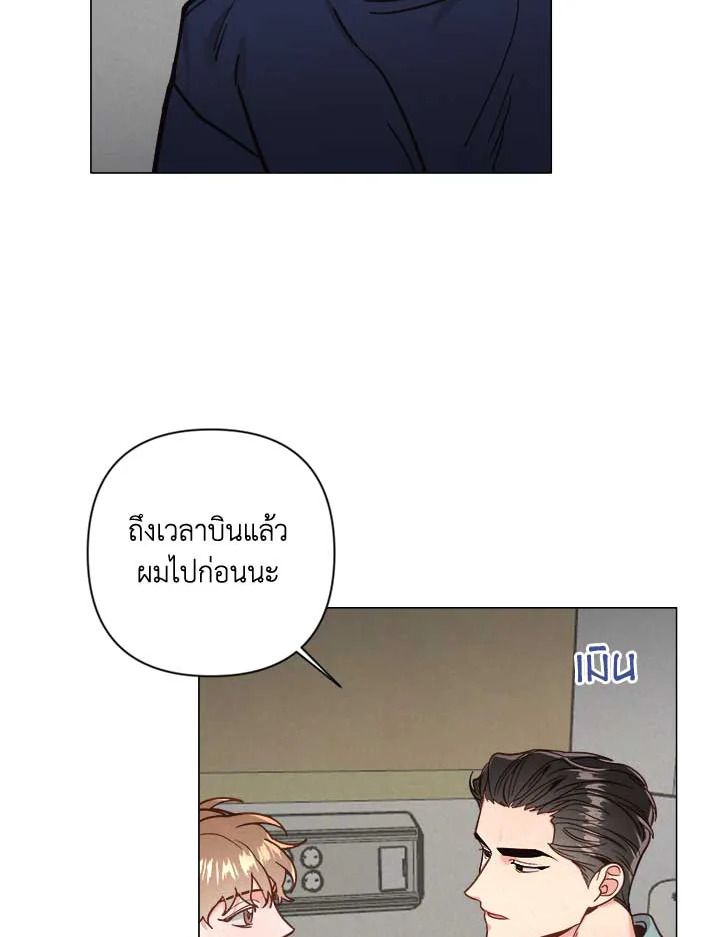 Bye Bye 31 40