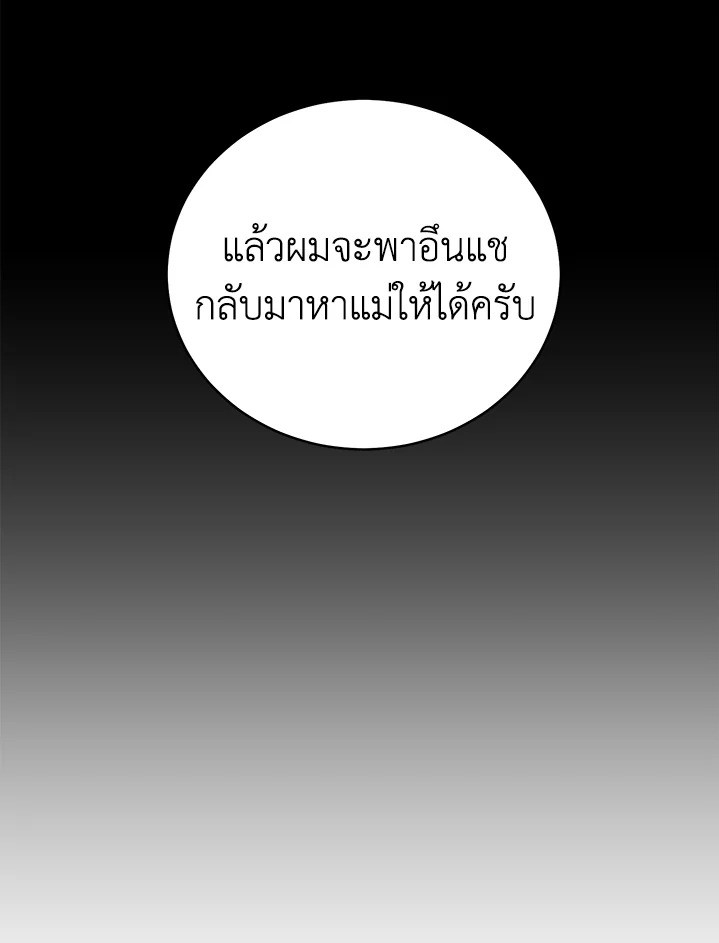 Shuffle 65 13