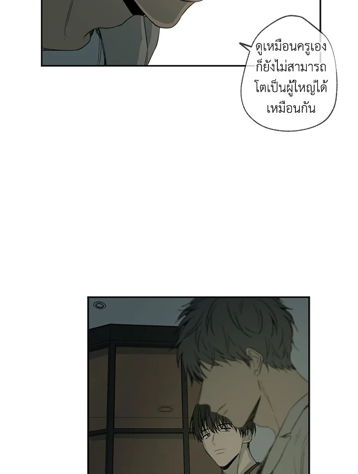 The Shape of Sympathy 26 81