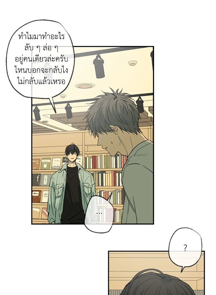 The Shape of Sympathy 42 21