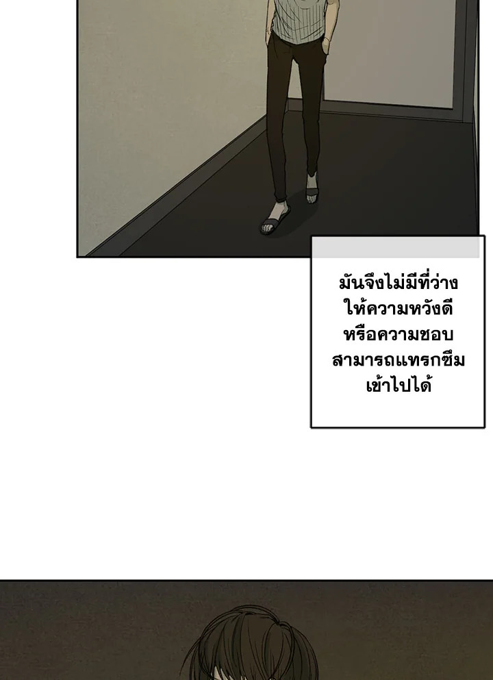 The Shape of Sympathy 53 52
