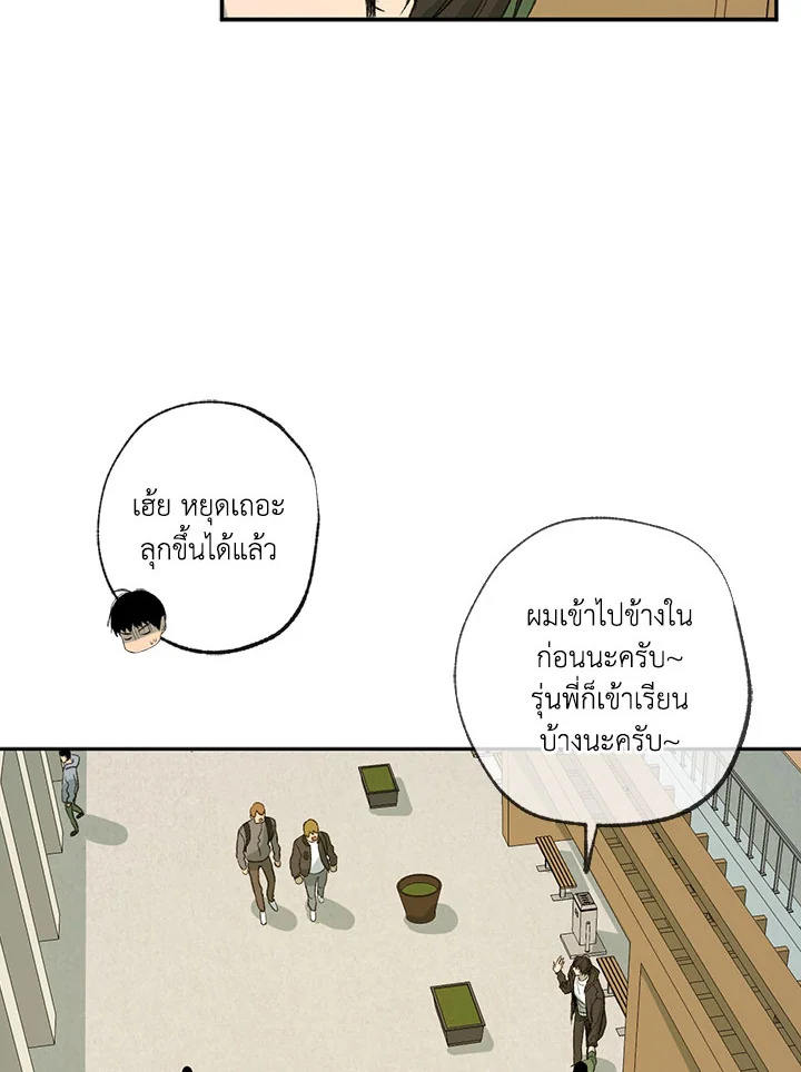 The Shape of Sympathy 55 31