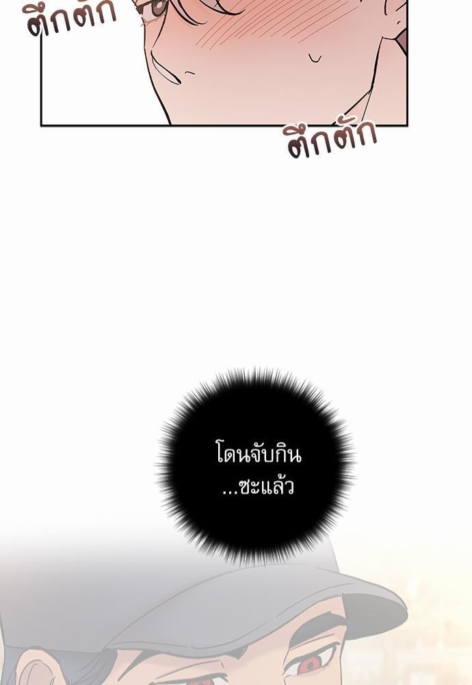 เน€เธชเธทเธญเธเธขเนเธณเธเธฑเธเธ—เธฃเน 28 41