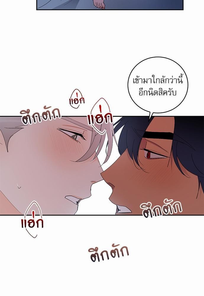 เสือขย้ำจันทร์ 19 11