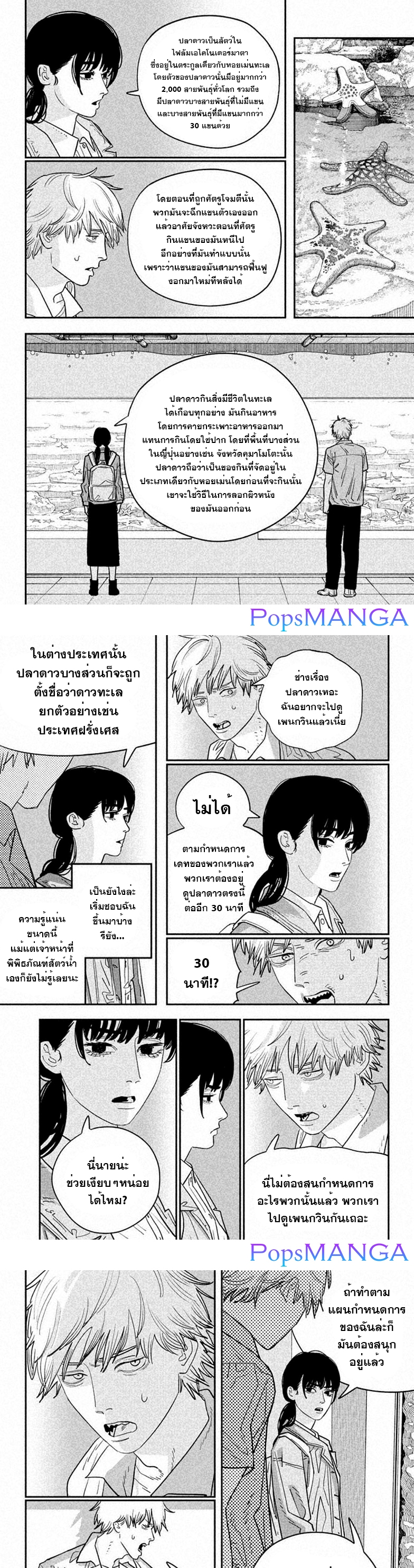 chainsaw man 113.03