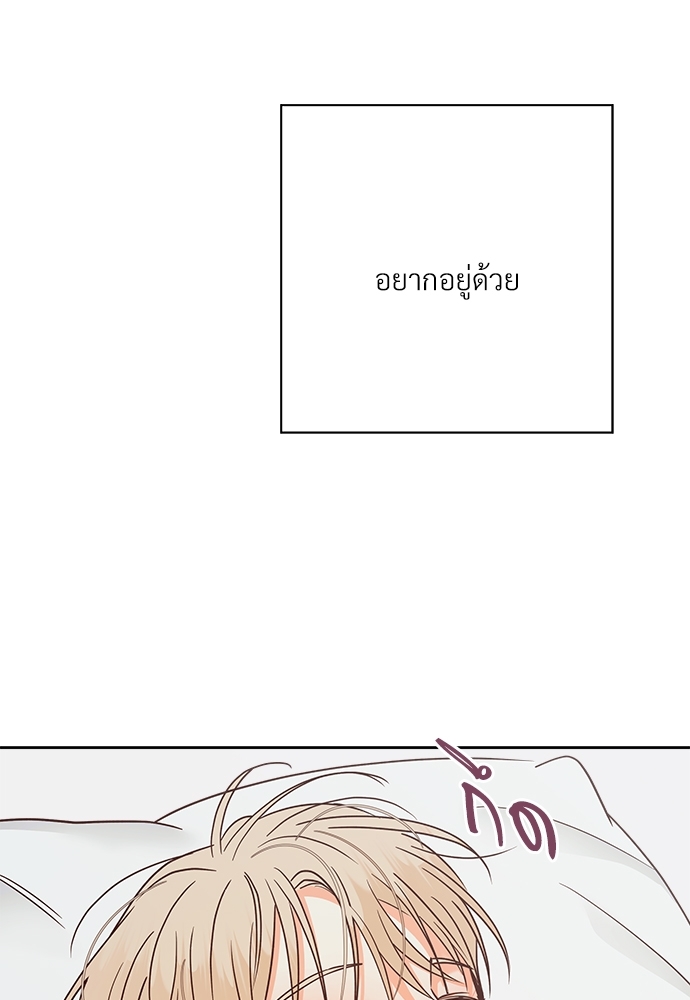 เธฃเนเธฒเธเธชเธฐเธ”เธงเธเธฃเธฑเธ 24 เธเธก 46 84