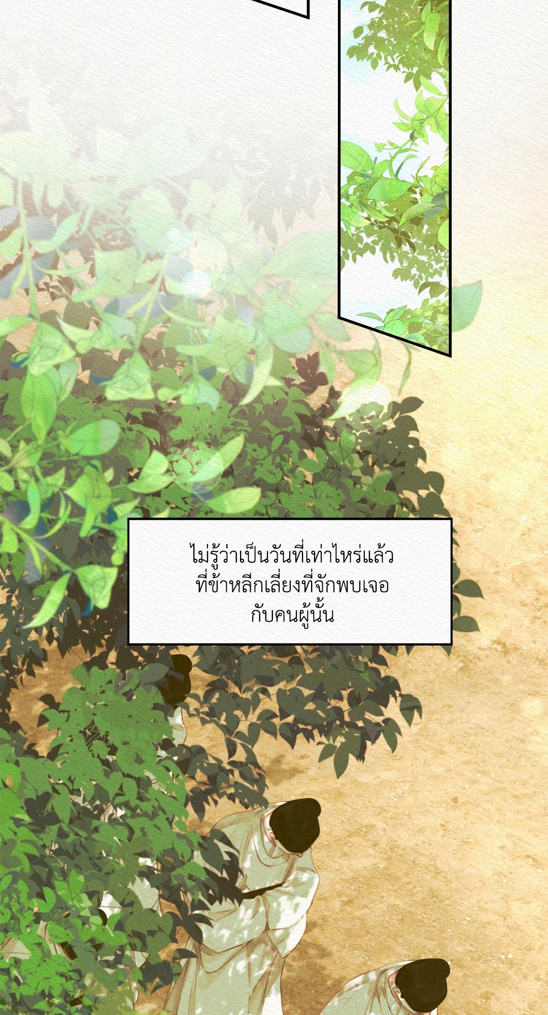 Night Song 38 47