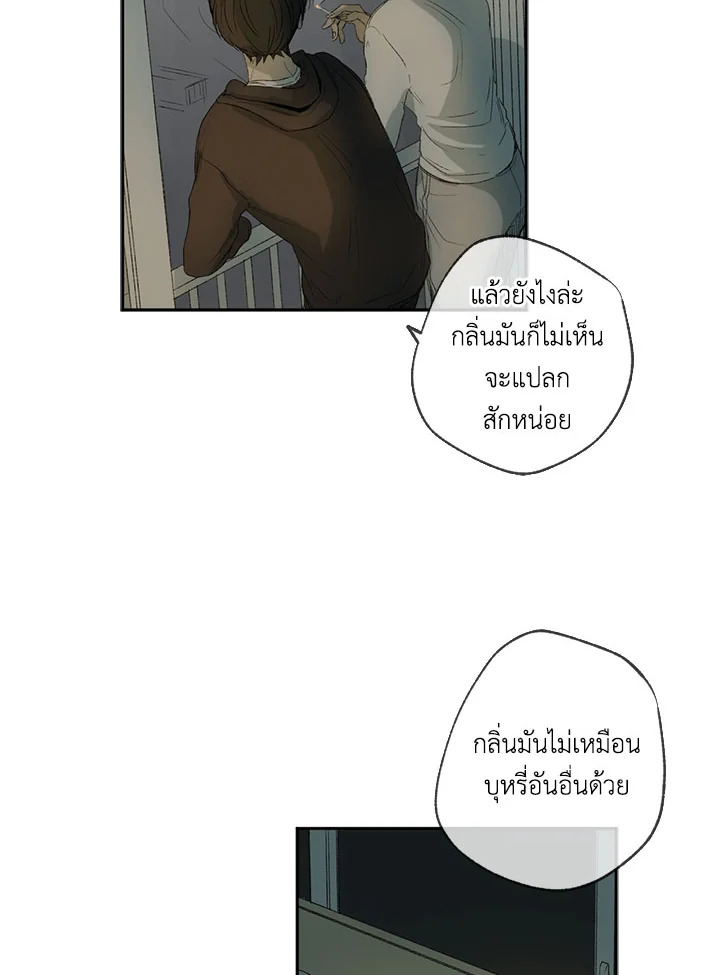The Shape of Sympathy 4 096
