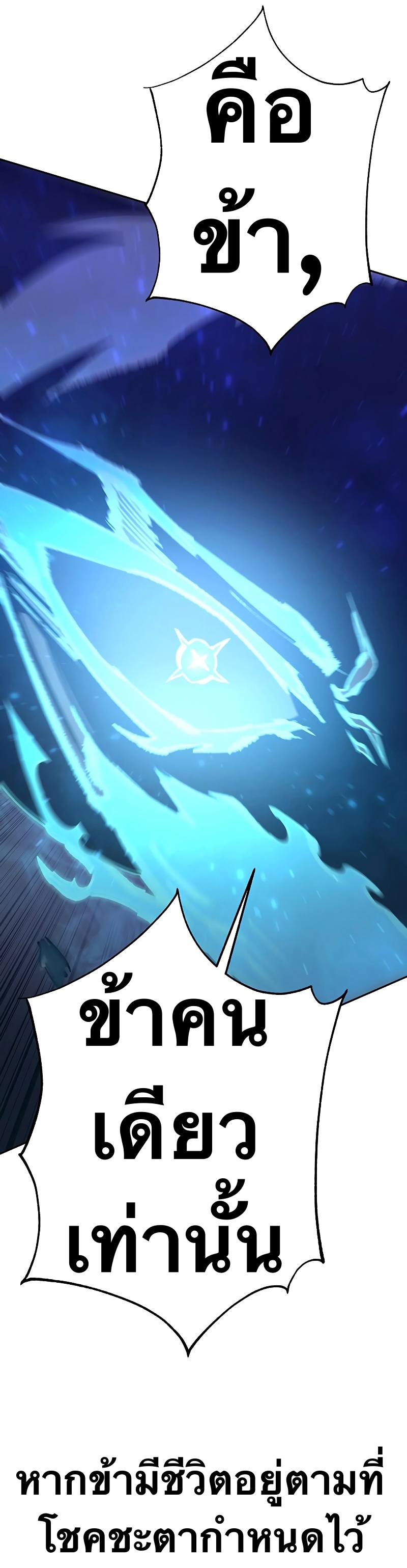 X Ash 54 (44)