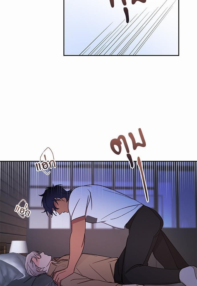 เน€เธชเธทเธญเธเธขเนเธณเธเธฑเธเธ—เธฃเน 29 33