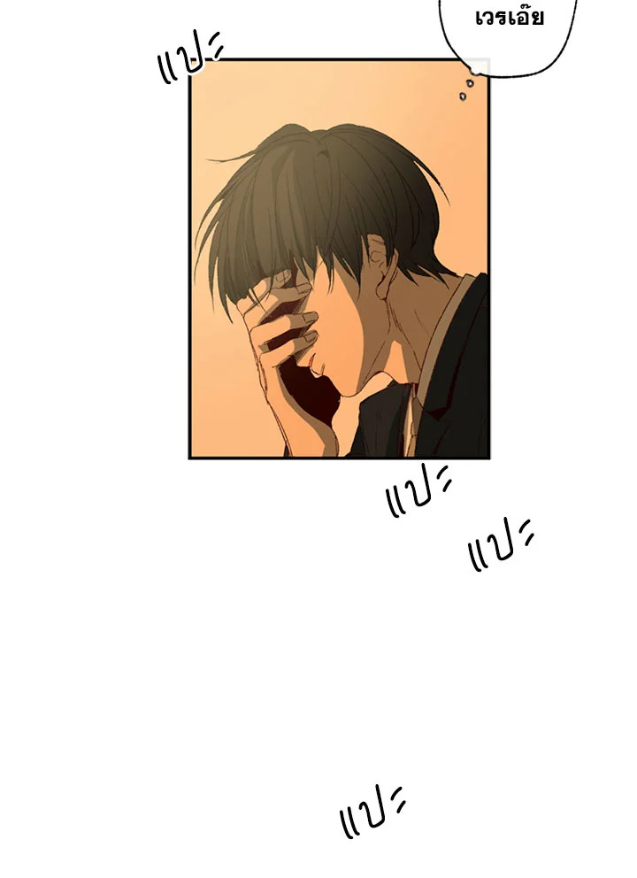 The Shape of Sympathy 1 042