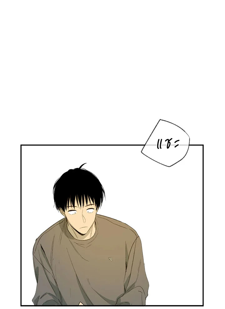 The Shape of Sympathy 11 31