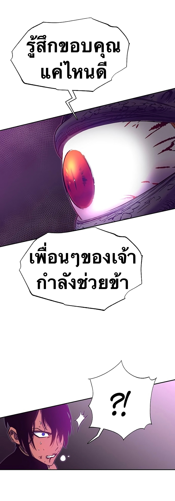 X Ash 50 (16)